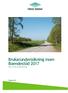 Brukarundersökning inom Boendestöd 2017